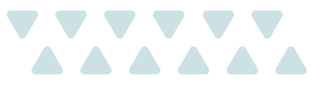 キャンペーン　triangle-right