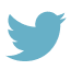 TWITTERのアイコン